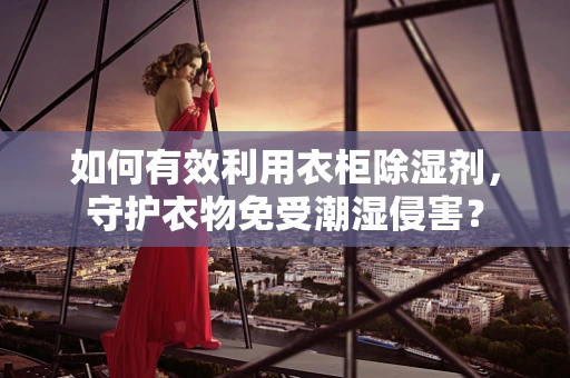 如何有效利用衣柜除湿剂，守护衣物免受潮湿侵害？