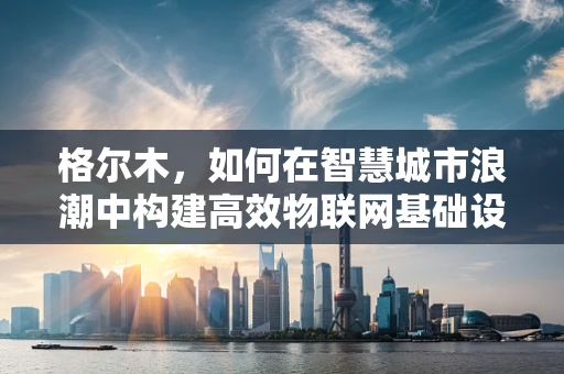 格尔木，如何在智慧城市浪潮中构建高效物联网基础设施？