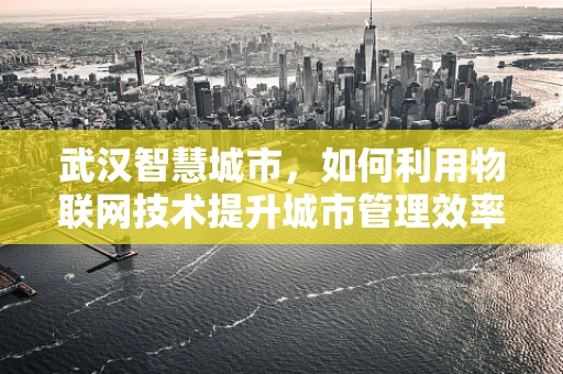 武汉智慧城市，如何利用物联网技术提升城市管理效率？