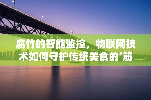 腐竹的智能监控，物联网技术如何守护传统美食的‘筋骨’？