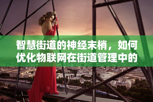 智慧街道的神经末梢，如何优化物联网在街道管理中的应用？