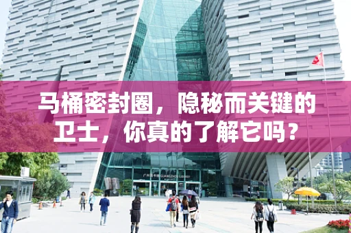 马桶密封圈，隐秘而关键的卫士，你真的了解它吗？