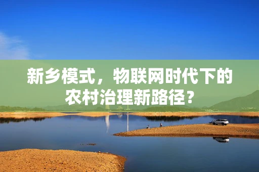 新乡模式，物联网时代下的农村治理新路径？