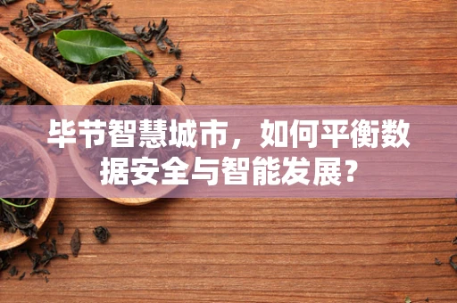 毕节智慧城市，如何平衡数据安全与智能发展？