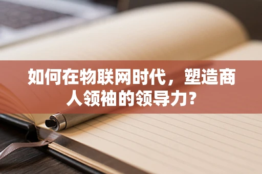 如何在物联网时代，塑造商人领袖的领导力？