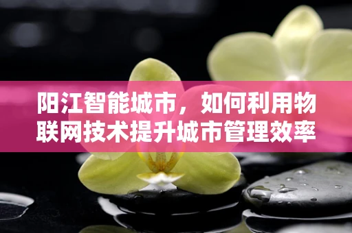 阳江智能城市，如何利用物联网技术提升城市管理效率？