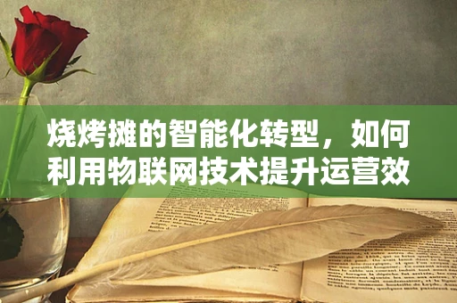 烧烤摊的智能化转型，如何利用物联网技术提升运营效率？