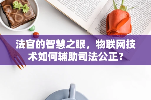 法官的智慧之眼，物联网技术如何辅助司法公正？