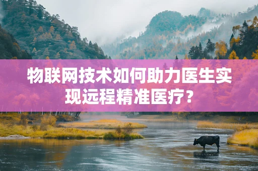 物联网技术如何助力医生实现远程精准医疗？