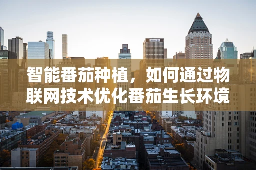 智能番茄种植，如何通过物联网技术优化番茄生长环境？