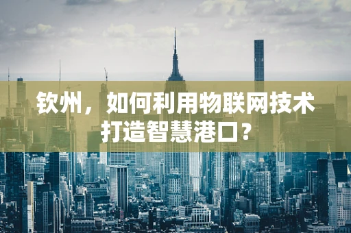钦州，如何利用物联网技术打造智慧港口？