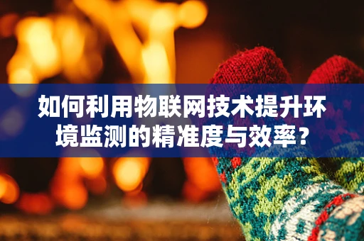 如何利用物联网技术提升环境监测的精准度与效率？