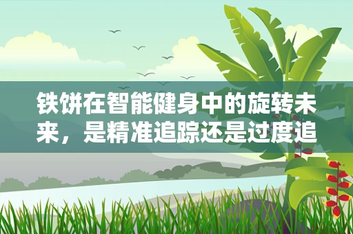 铁饼在智能健身中的旋转未来，是精准追踪还是过度追踪？