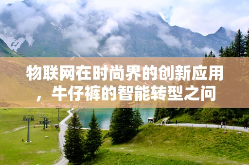 物联网在时尚界的创新应用，牛仔裤的智能转型之问