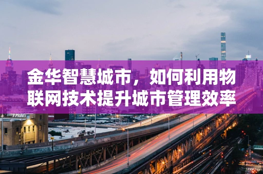 金华智慧城市，如何利用物联网技术提升城市管理效率？