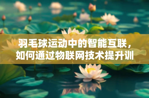 羽毛球运动中的智能互联，如何通过物联网技术提升训练效率？