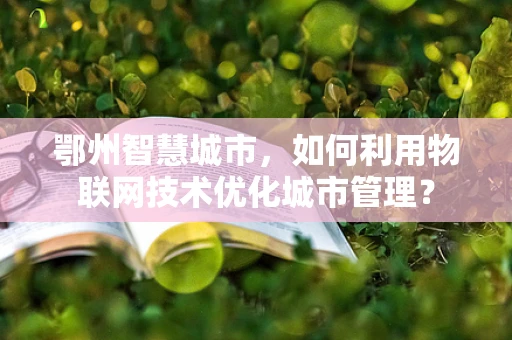 鄂州智慧城市，如何利用物联网技术优化城市管理？