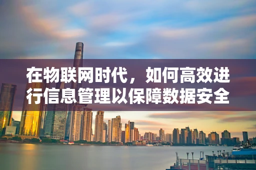 在物联网时代，如何高效进行信息管理以保障数据安全？