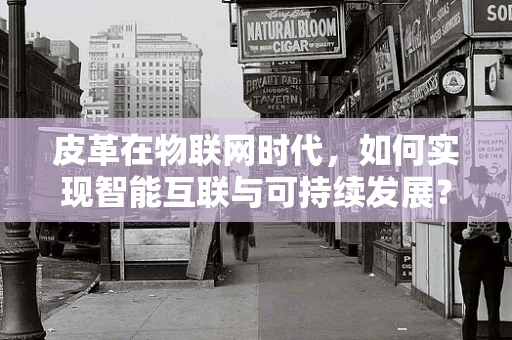 皮革在物联网时代，如何实现智能互联与可持续发展？
