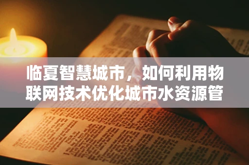 临夏智慧城市，如何利用物联网技术优化城市水资源管理？