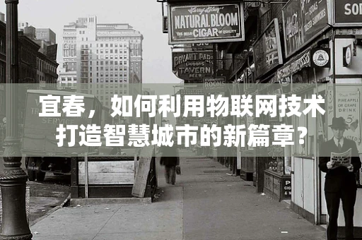 宜春，如何利用物联网技术打造智慧城市的新篇章？