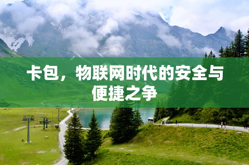 卡包，物联网时代的安全与便捷之争