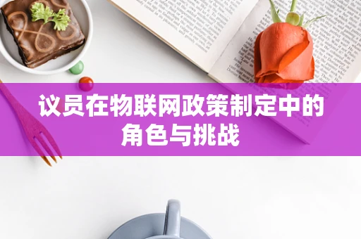议员在物联网政策制定中的角色与挑战
