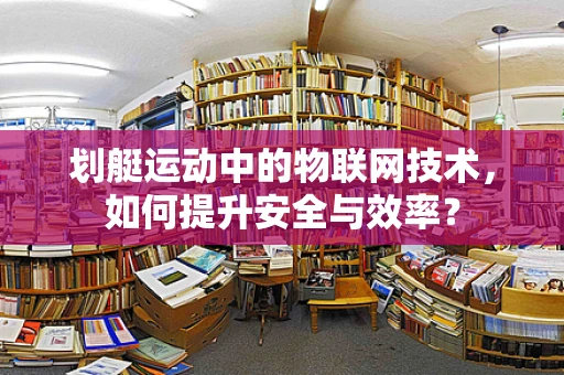 划艇运动中的物联网技术，如何提升安全与效率？