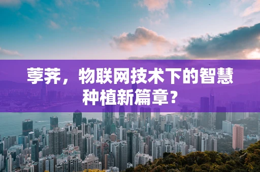 荸荠，物联网技术下的智慧种植新篇章？