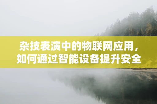 杂技表演中的物联网应用，如何通过智能设备提升安全与互动？