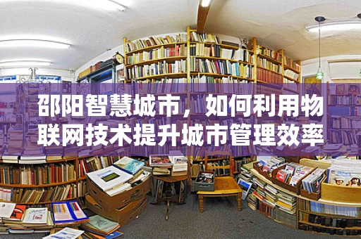 邵阳智慧城市，如何利用物联网技术提升城市管理效率？