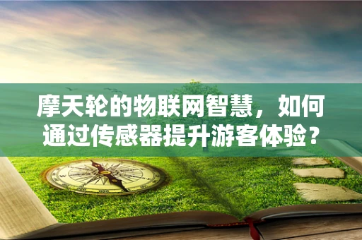 摩天轮的物联网智慧，如何通过传感器提升游客体验？