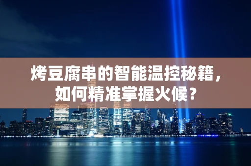 烤豆腐串的智能温控秘籍，如何精准掌握火候？