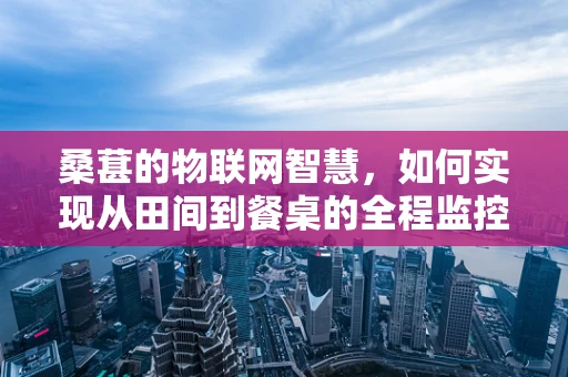 桑葚的物联网智慧，如何实现从田间到餐桌的全程监控？