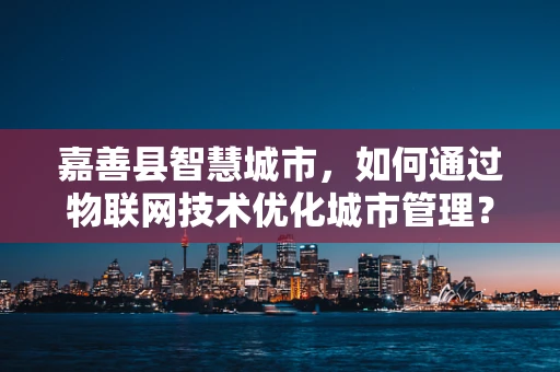 嘉善县智慧城市，如何通过物联网技术优化城市管理？