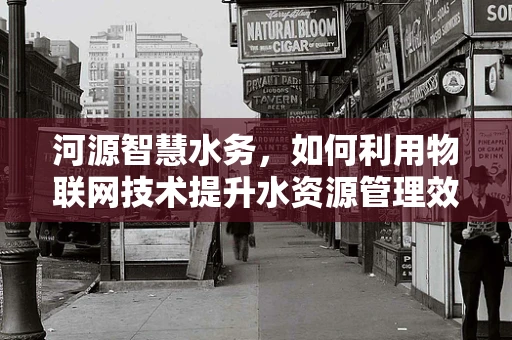 河源智慧水务，如何利用物联网技术提升水资源管理效率？
