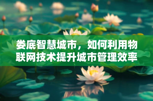 娄底智慧城市，如何利用物联网技术提升城市管理效率？