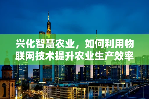 兴化智慧农业，如何利用物联网技术提升农业生产效率？