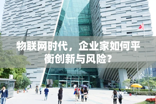 物联网时代，企业家如何平衡创新与风险？