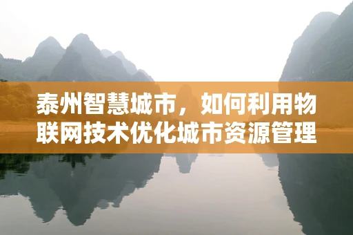 泰州智慧城市，如何利用物联网技术优化城市资源管理？