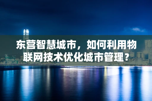 东营智慧城市，如何利用物联网技术优化城市管理？