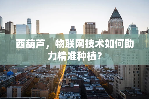 西葫芦，物联网技术如何助力精准种植？