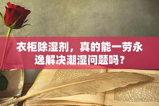 衣柜除湿剂，真的能一劳永逸解决潮湿问题吗？