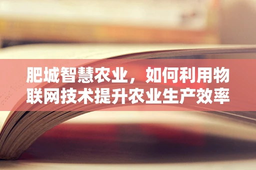 肥城智慧农业，如何利用物联网技术提升农业生产效率？
