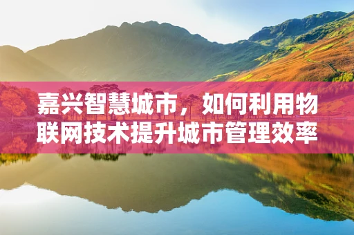 嘉兴智慧城市，如何利用物联网技术提升城市管理效率？