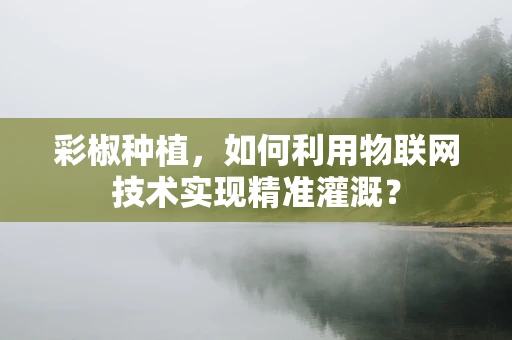 彩椒种植，如何利用物联网技术实现精准灌溉？