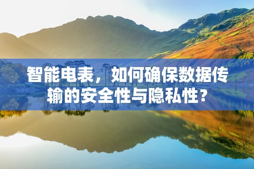 智能电表，如何确保数据传输的安全性与隐私性？