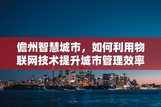 儋州智慧城市，如何利用物联网技术提升城市管理效率？