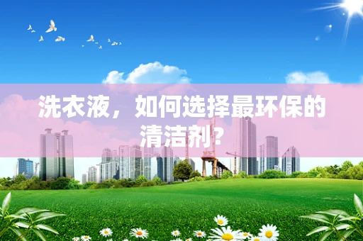 洗衣液，如何选择最环保的清洁剂？