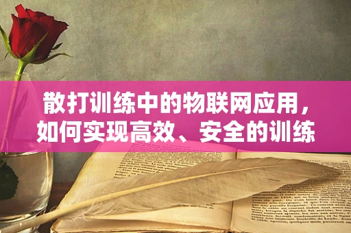 散打训练中的物联网应用，如何实现高效、安全的训练监控？